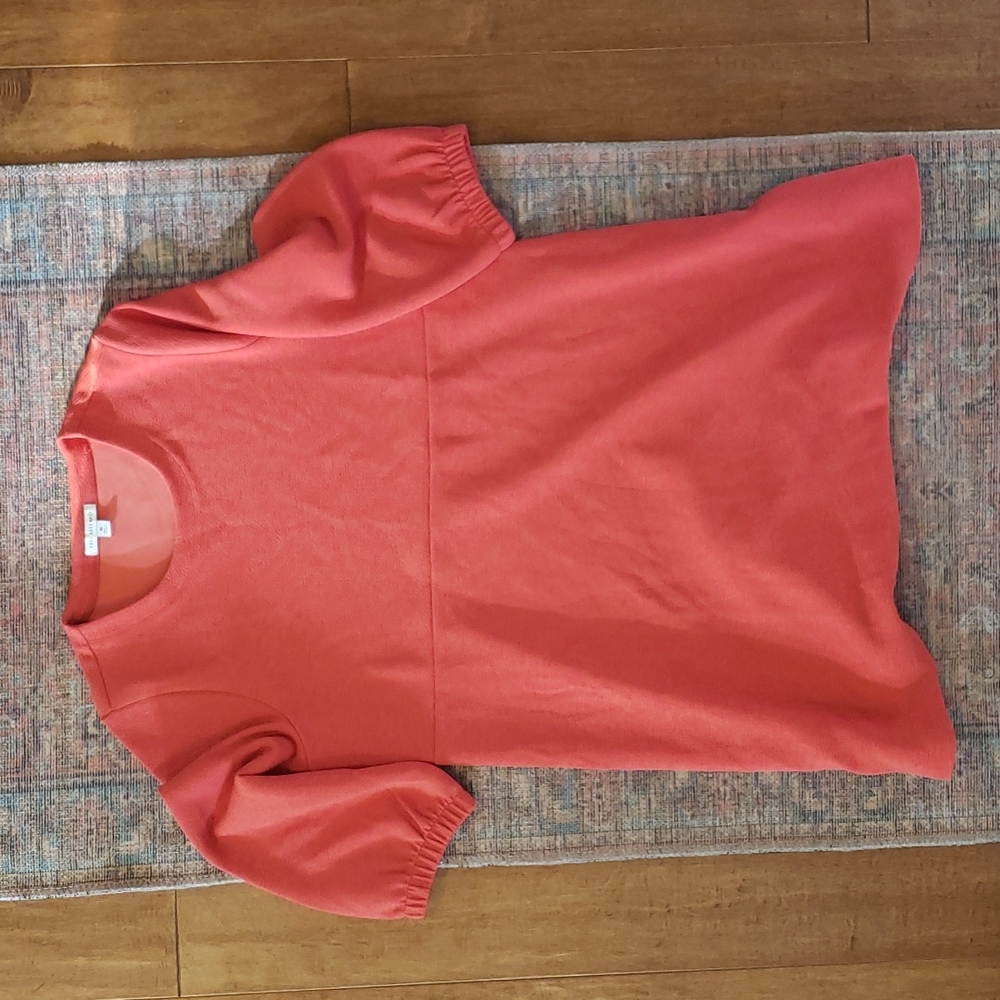 Free Assembly Dress